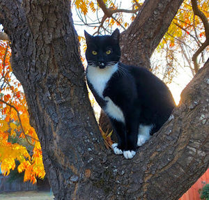 Meet your Posher, Luke